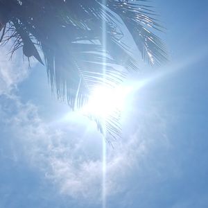 椰昵称长度怎么不符合要求