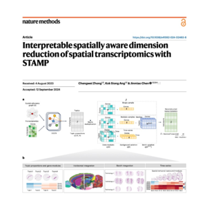 106-STAMP: Decoding Patterns in Spatial Transcriptomics
