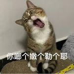 大宇宙有限公司