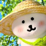 五点钟嘞起床先嘞