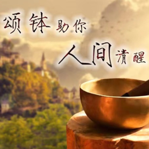 稳定频率by澜息颂钵