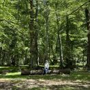 健健康康自由明亮