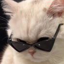 嘴都管不住还管啥