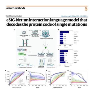 1016-eSIG-Net：解码单点突变蛋白相互作用的语言模型