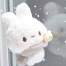 晴天_XwUs