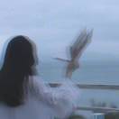 白茶_7FPR