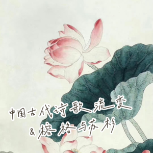 EP4 吟咏风谣，流连哀思——中国古代诗歌流变（一）