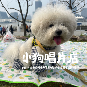 vol.19 “小狗和好天气,阳光和爱会是牢固的春天”