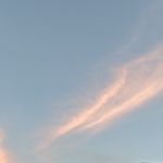 顾景承冉