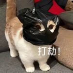 lilucky_