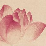 张张慢吞吞