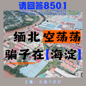 【新春特别篇】缅北空荡荡，骗子在海淀