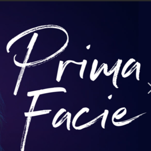 28. 法律英语小课堂—Prima Facie 初步证据