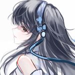 猫咪在这