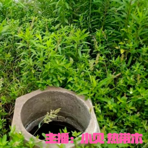 EP3.凶手竟成被害人-济南商河县殡仪馆迷案？