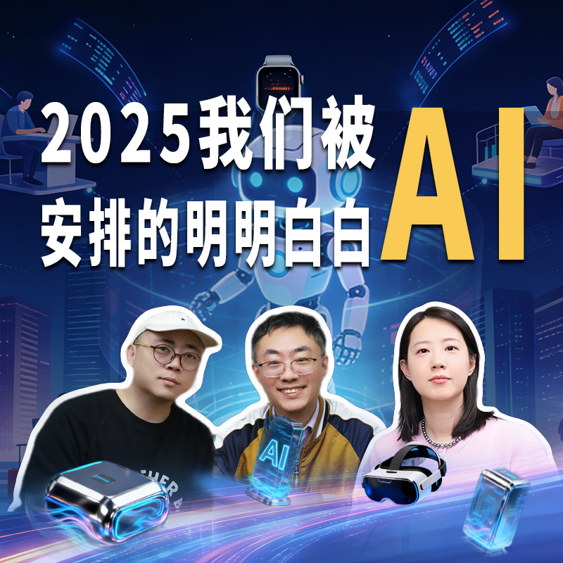 🗓2025，我们被AI安排得明明白白 - 徐冉/东东枪/北冥乘海生 episode artwork