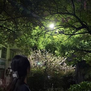 podcaster-avatar