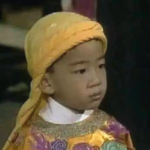 【晚清风云】（7）“幼天王”之死