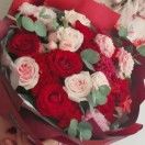 吃橘子的猫_9Nok