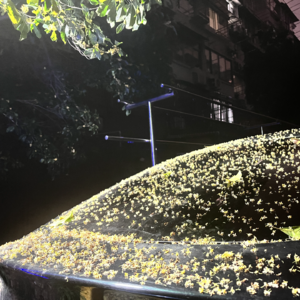 把爱好落地成工作太酷了!