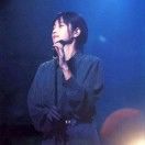 避光