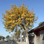 小烊快跑学习版