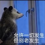 Vol.81-中元节特辑：允许一切发生，但别老是发生！