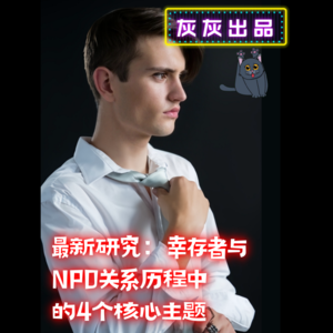 最新研究：幸存者与NPD关系历程中的4个核心主题