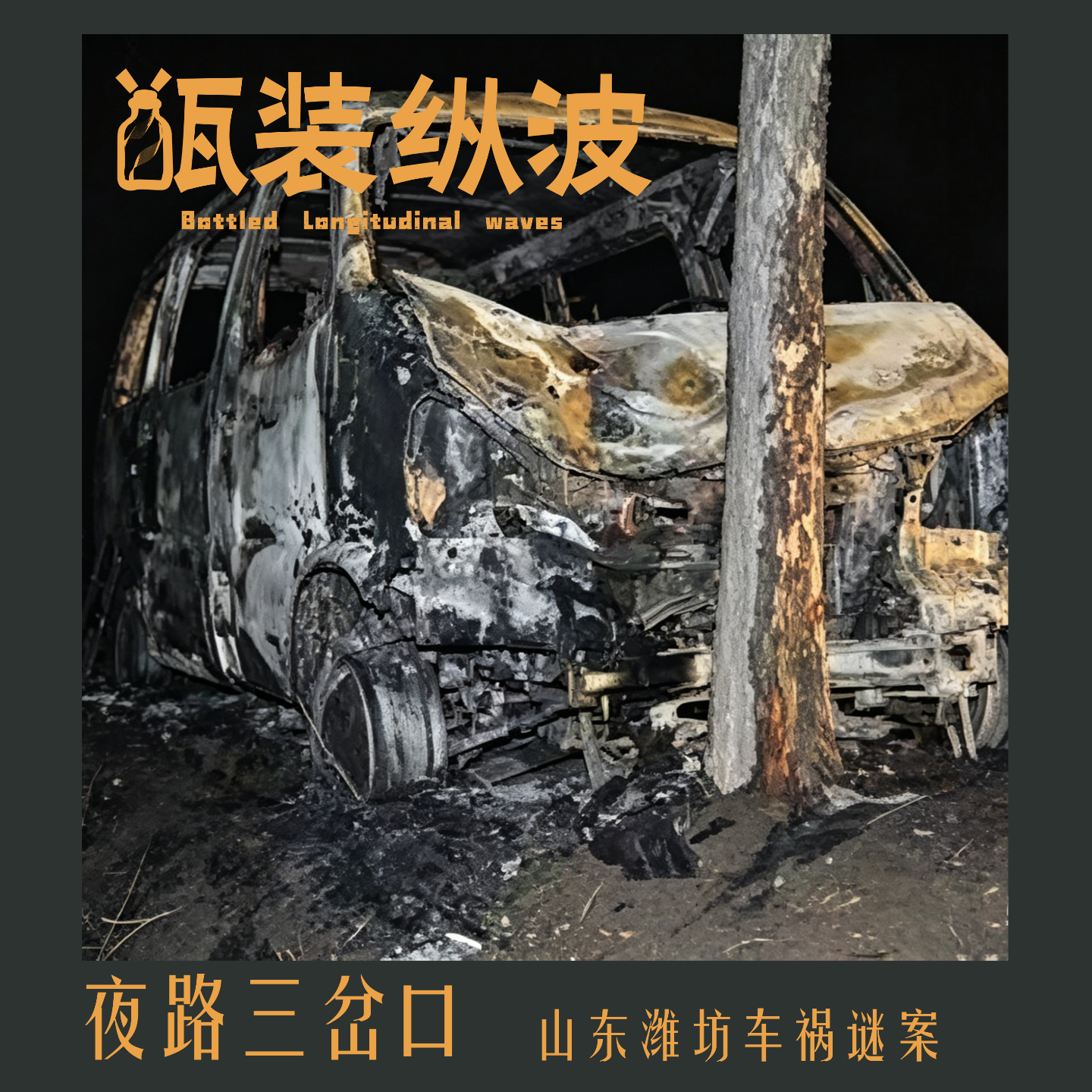 31.夜路三岔口：山东潍坊车祸谜案 episode artwork