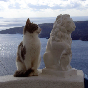 I. 哪怕孤独终老也是主动选择的。