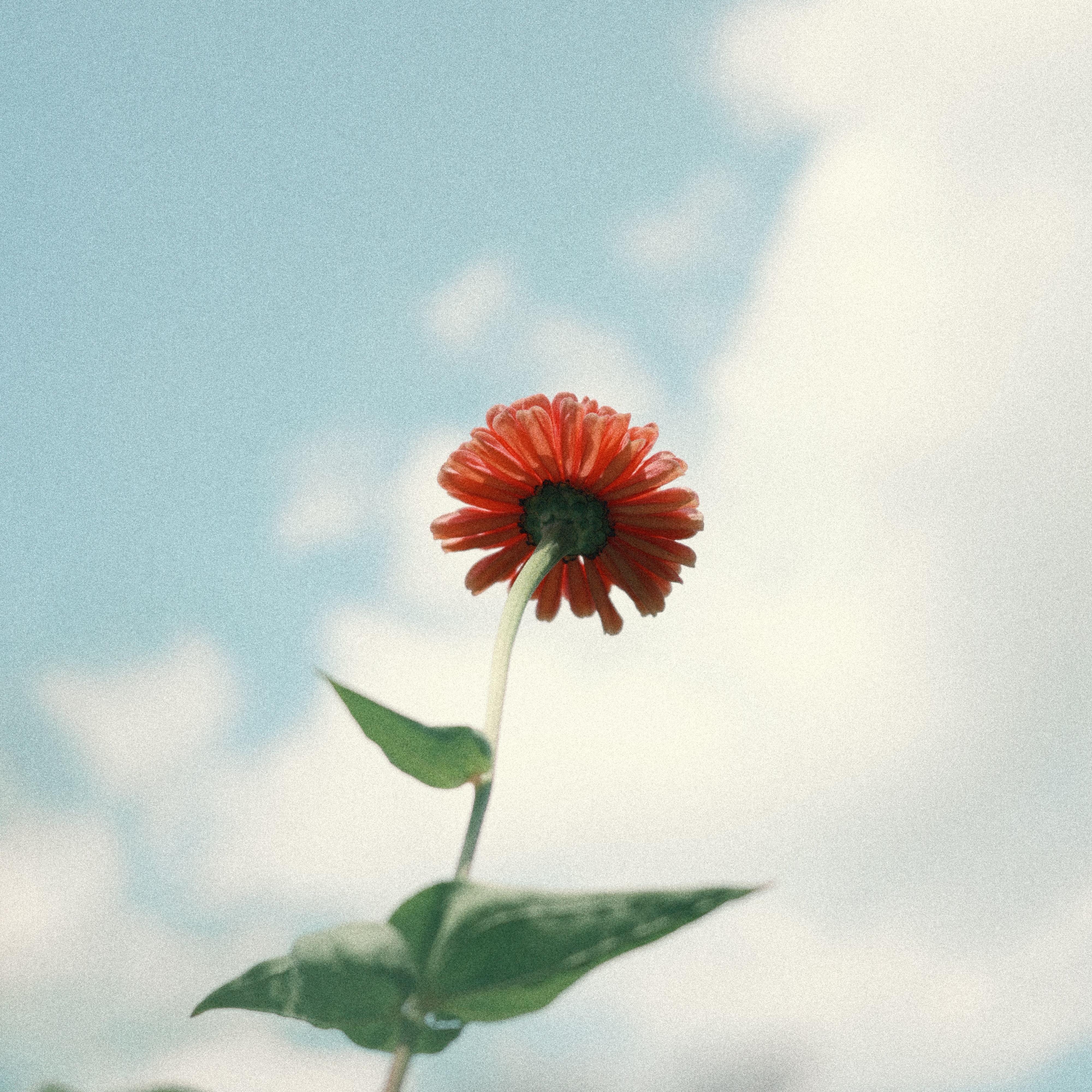 Artwork for 玄而未决