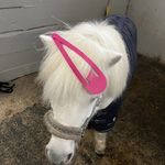 狂野后妈