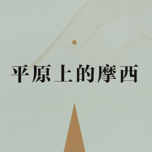 003 双雪涛《平原上的摩西》：一本真诚的鸭嘴兽