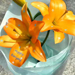 VOL467.以一个敞开的灵魂去关注一切，没有狂躁，没有期盼，没有论断，没有成见。