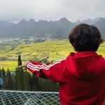 西番西茄