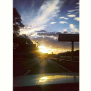 z.拿什么拯救上海的黄梅天？！