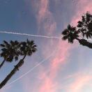 跳芭蕾的辛弃疾