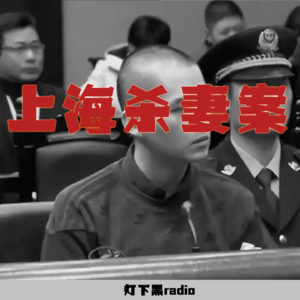 卑微的爱！困于冰柜106天的她！上海藏尸案！