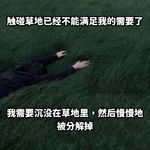 落花fallin