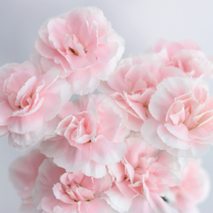 04.母女的战争,我们和解了吗?