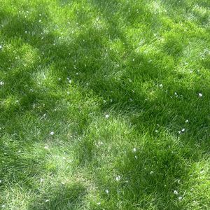 podcaster-avatar