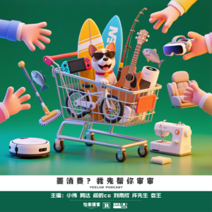 812.要消费？我先帮你审审