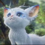 爱吃榴莲的猫猫