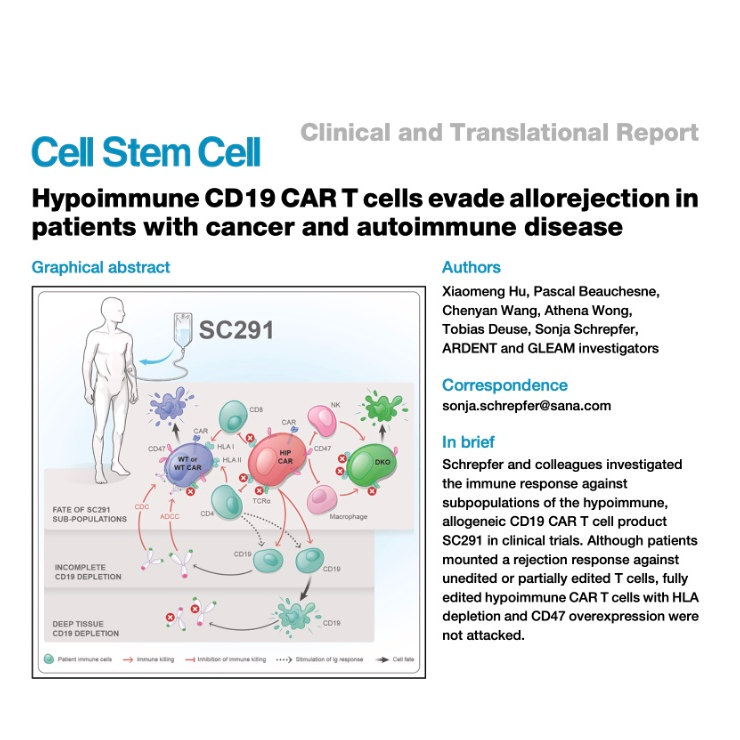 662-SC291低免疫CD19 CAR T细胞临床免疫逃避研究 episode artwork