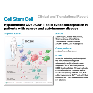 662-Hypoimmune CD19 CAR T Cells Evade Allorejection