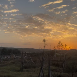 010.在爱里总感觉委屈？也许你错把“纵容”当成了“包容”