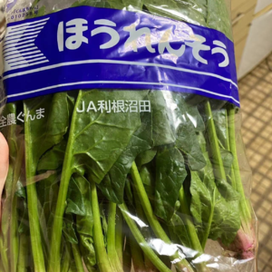 vol.08丨五月录的终于在8月发出来惹