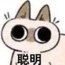 虾鱼