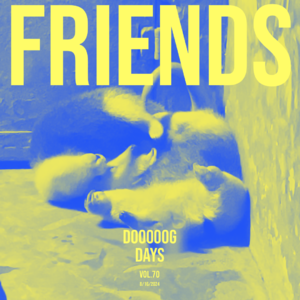 vol.70:周五,只为好的友情举杯!