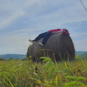 告别“母爱神话”，女儿才能重获新生